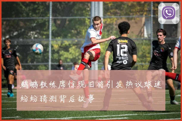 鹈鹕教练席惊现旧将引发热议球迷纷纷猜测背后故事