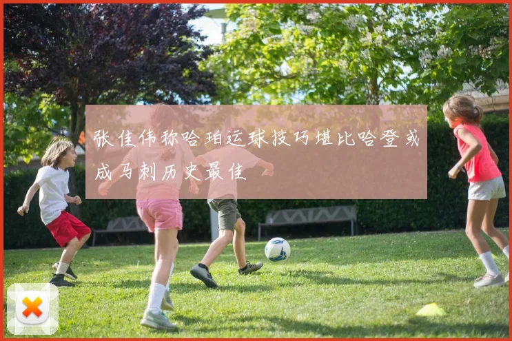 张佳伟称哈珀运球技巧堪比哈登或成马刺历史最佳