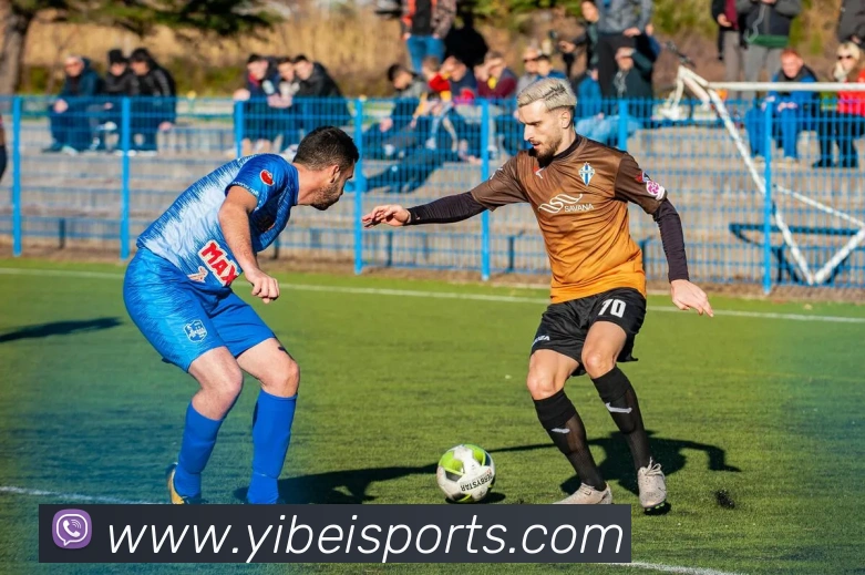 易倍体育平台生态图