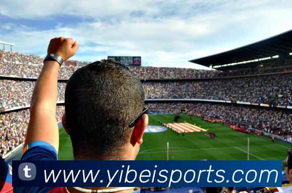 易倍体育APP 封面图